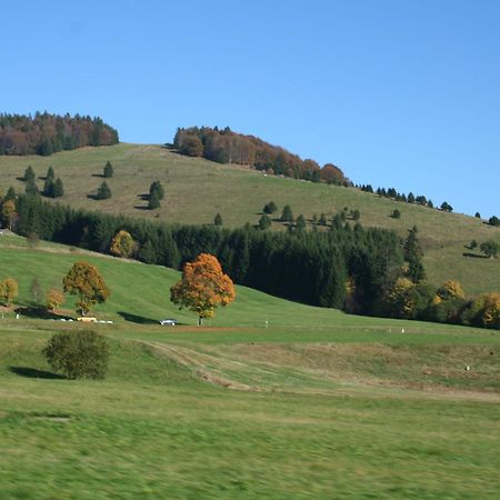 Cozy Holiday Apartment In The Black Forest Dachsberg im Schwarzwald Exterior photo