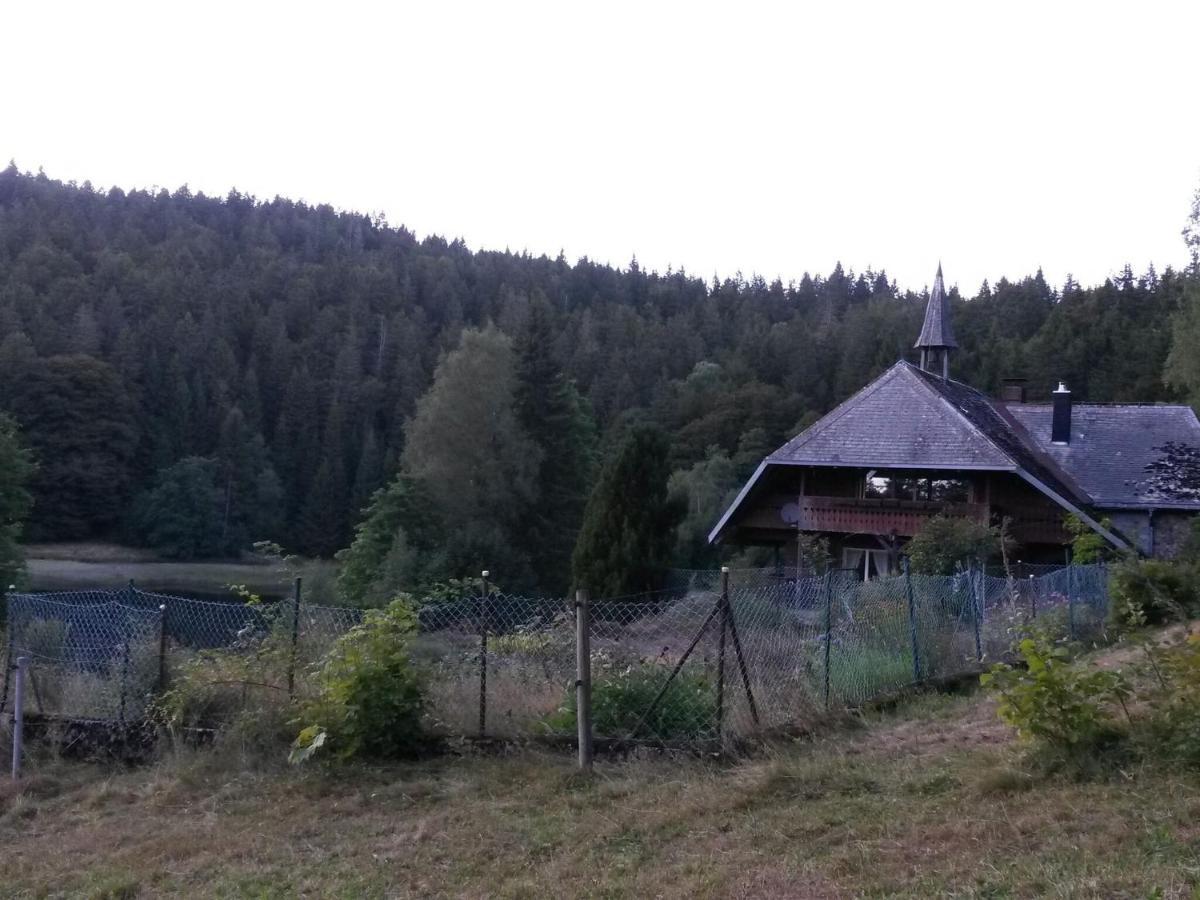 Cozy Holiday Apartment In The Black Forest Dachsberg im Schwarzwald Exterior photo