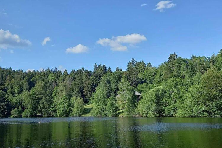 Cozy Holiday Apartment In The Black Forest Dachsberg im Schwarzwald Exterior photo